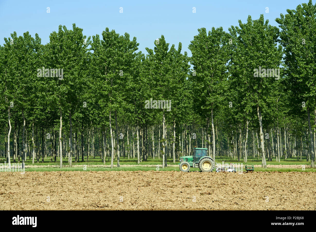 Polesine Parmense (Pr) Italy,  plowing of a cornfield Stock Photo