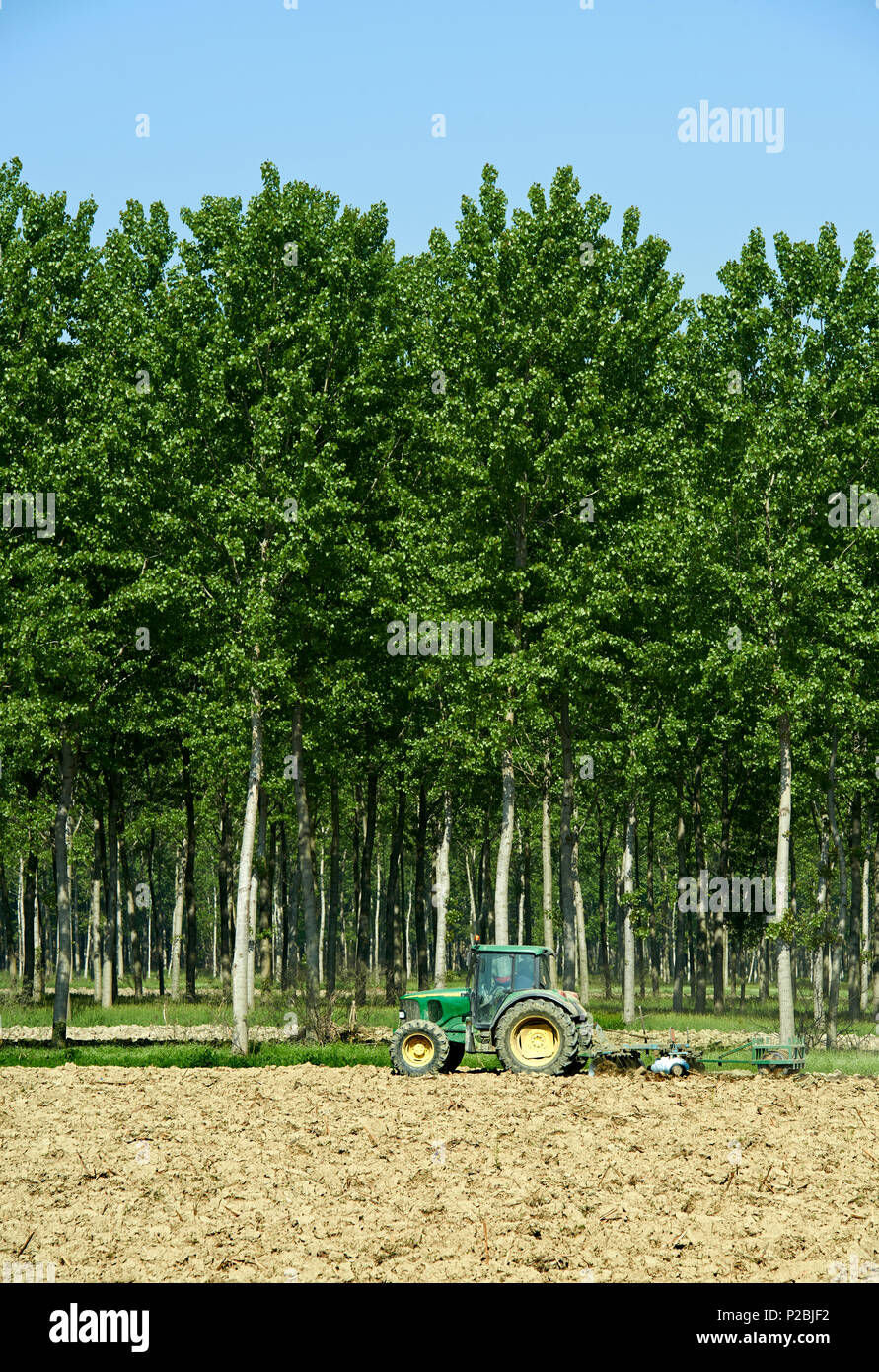 Polesine Parmense (Pr) Italy,  plowing of a cornfield Stock Photo