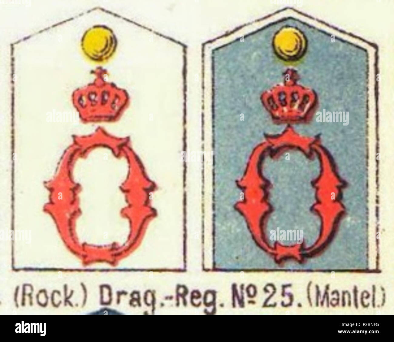 285 Schulterstücke, Dragoner-Regiment Nr. 25, Die Uniformen der deutschen Armee, Ruhl, Tafel 31 Stock Photo