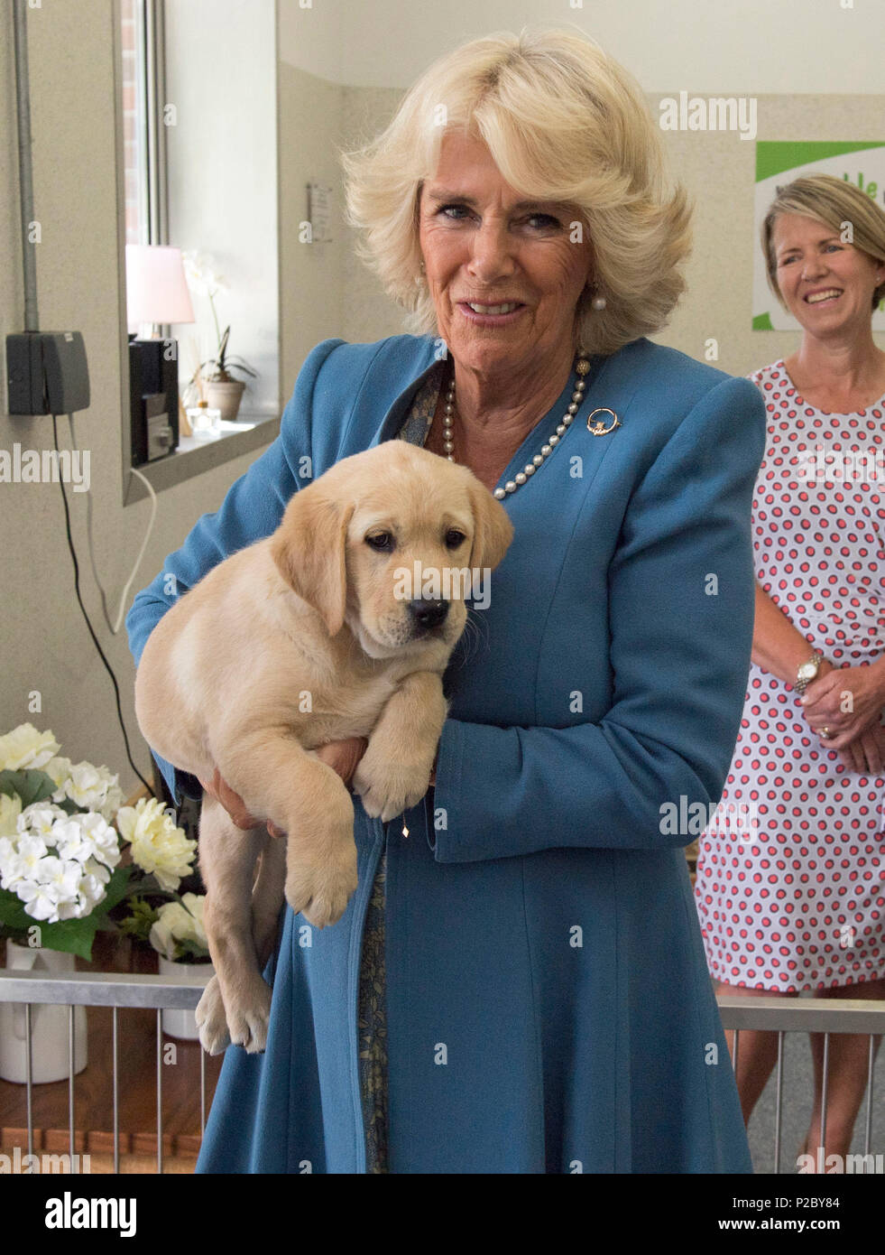 The Duchess Of Cornwall Holds An 8 Week Old Labrador Puppy Named