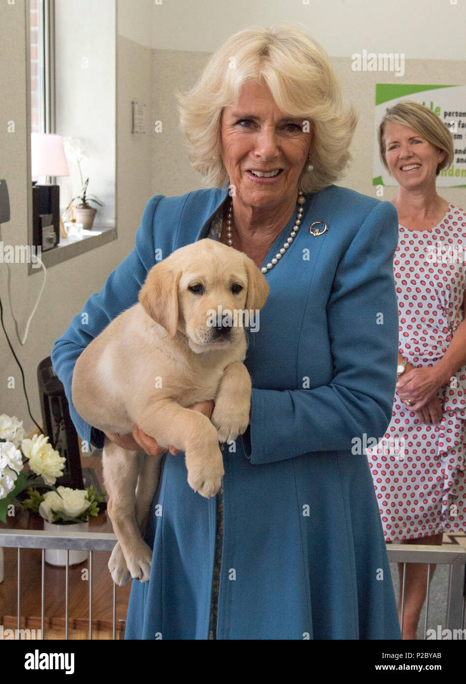 The Duchess of Cornwall holds an 8 week old Labrador puppy named Gretel