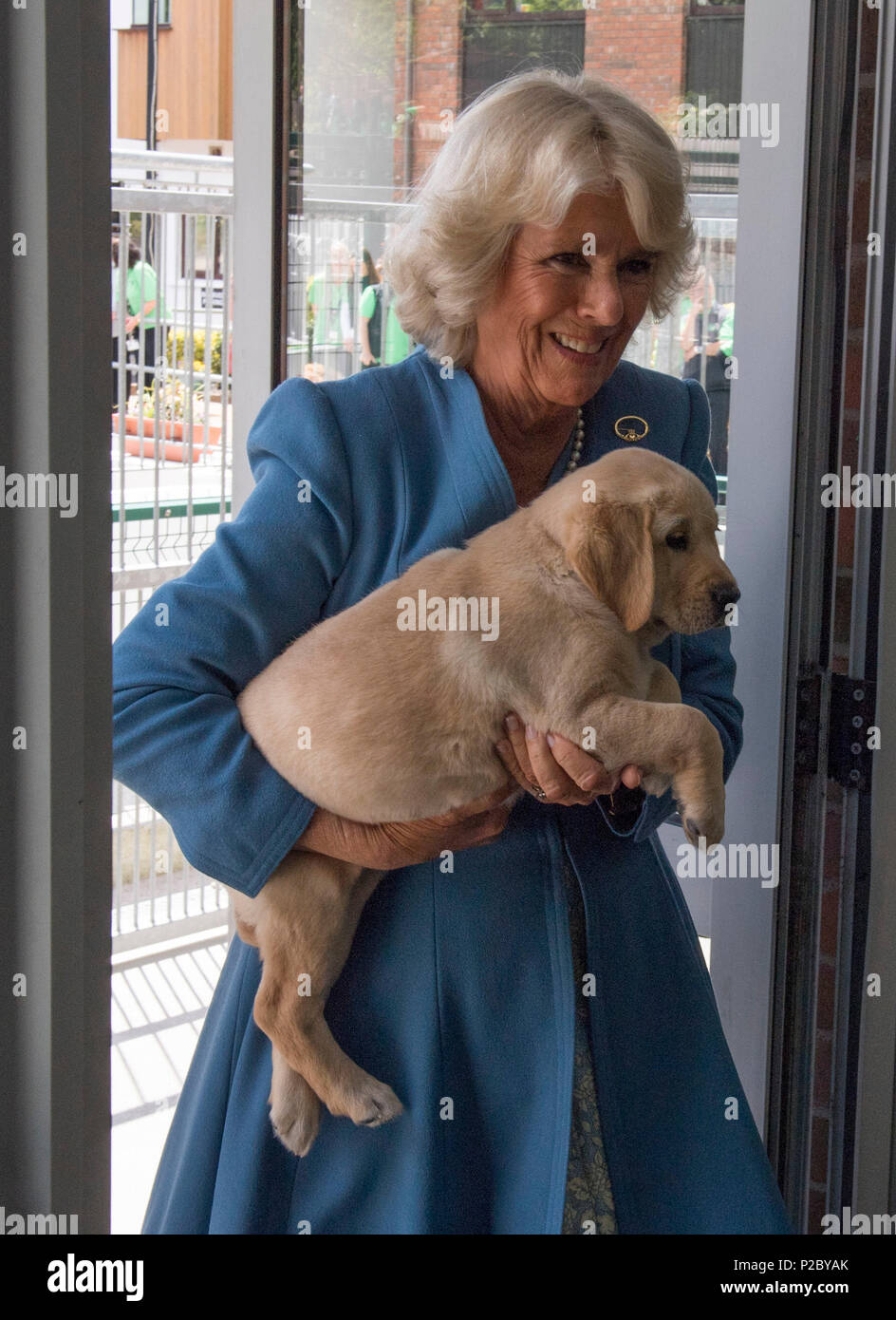 The Duchess of Cornwall holds an 8 week old Labrador puppy named Gretel