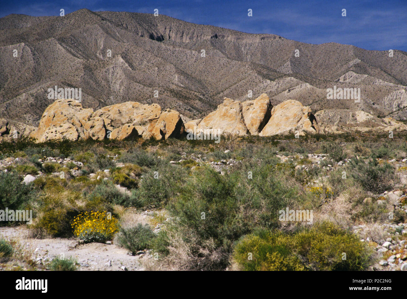 Truckhaven Rocks, Anza-Borrego, CA 980322 123L Stock Photo