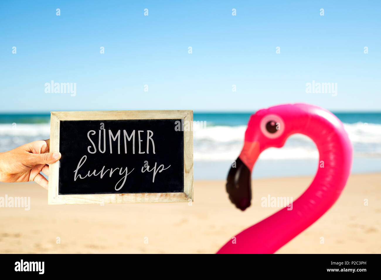 closeup of a caucasian man holding a signboard with the text summer hurry up written in it, and a swim ring in the shape of a pink flamingo on the san Stock Photo
