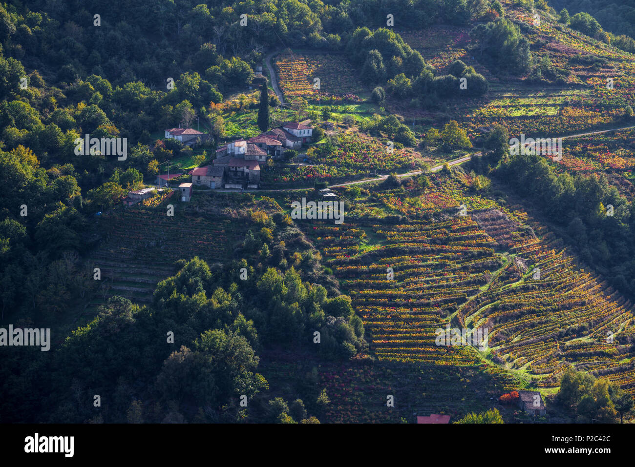 Autumn view of a village surrounded by vineyards in A Teixeira, Ribeira Sacra, Ourense Stock Photo