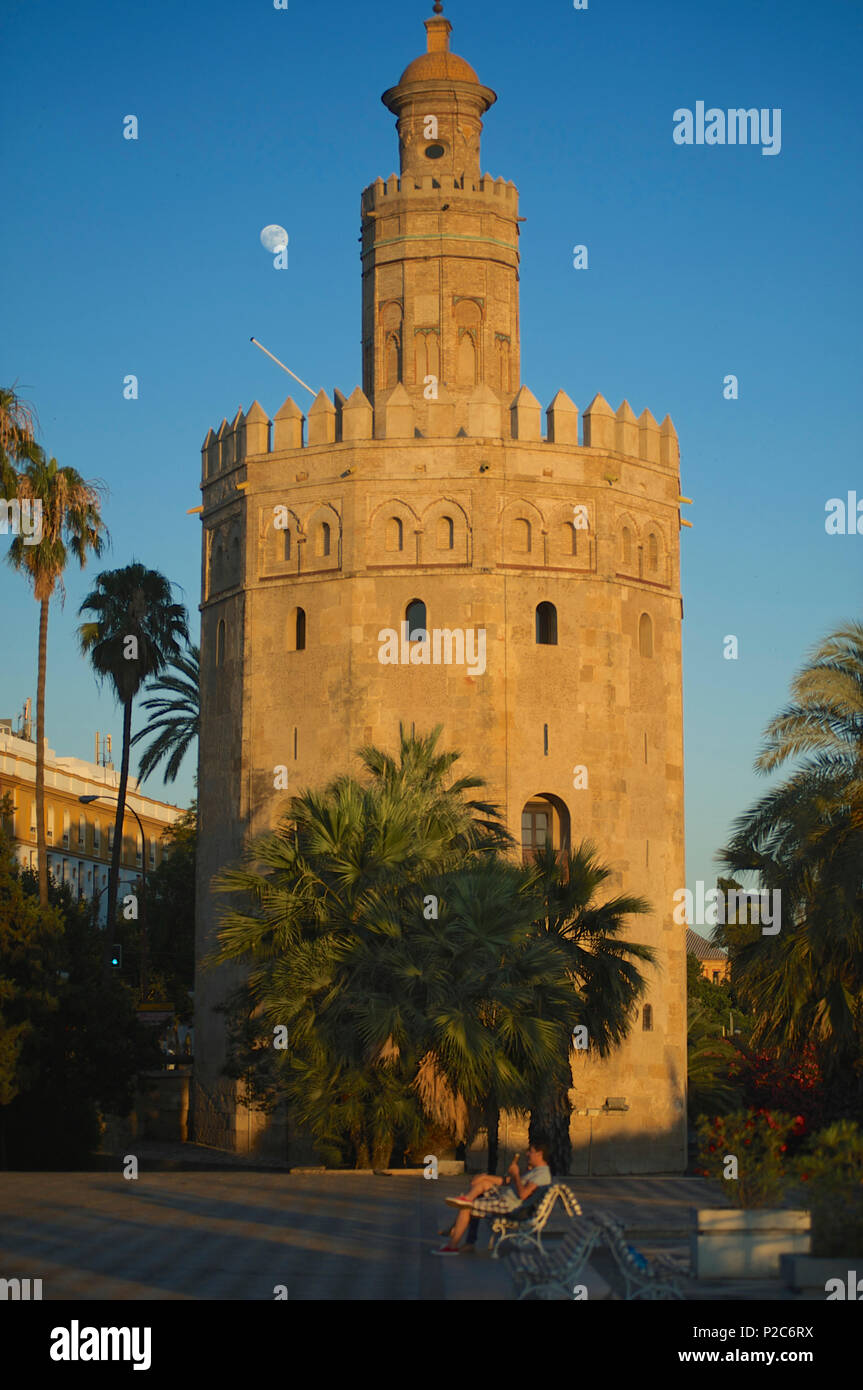 Torre del Oro am Gudalquivir, Moorish tower, Sevilla, Andalusia, Spain, Europe Stock Photo