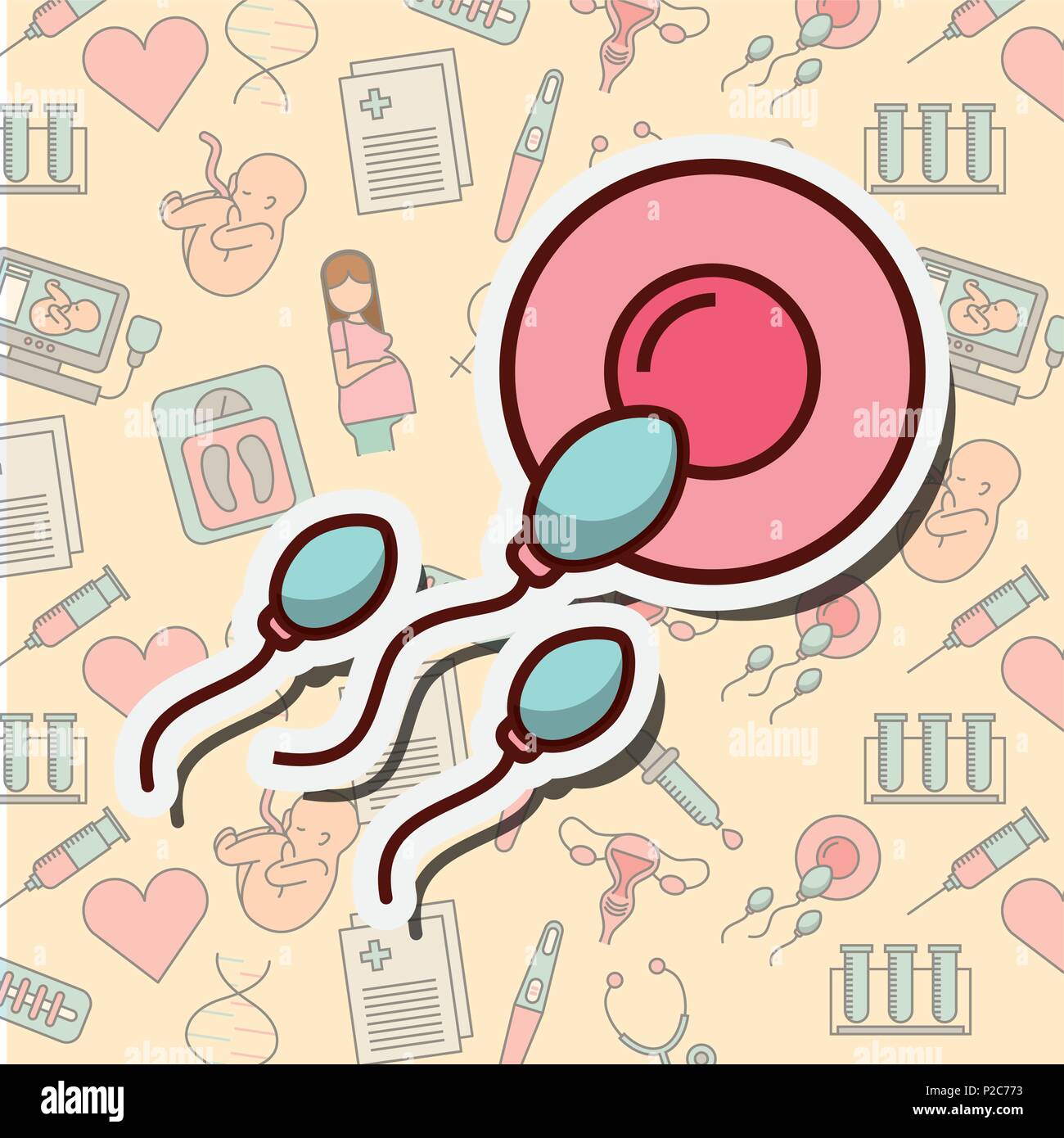 pregnancy fertilization related Stock Vector