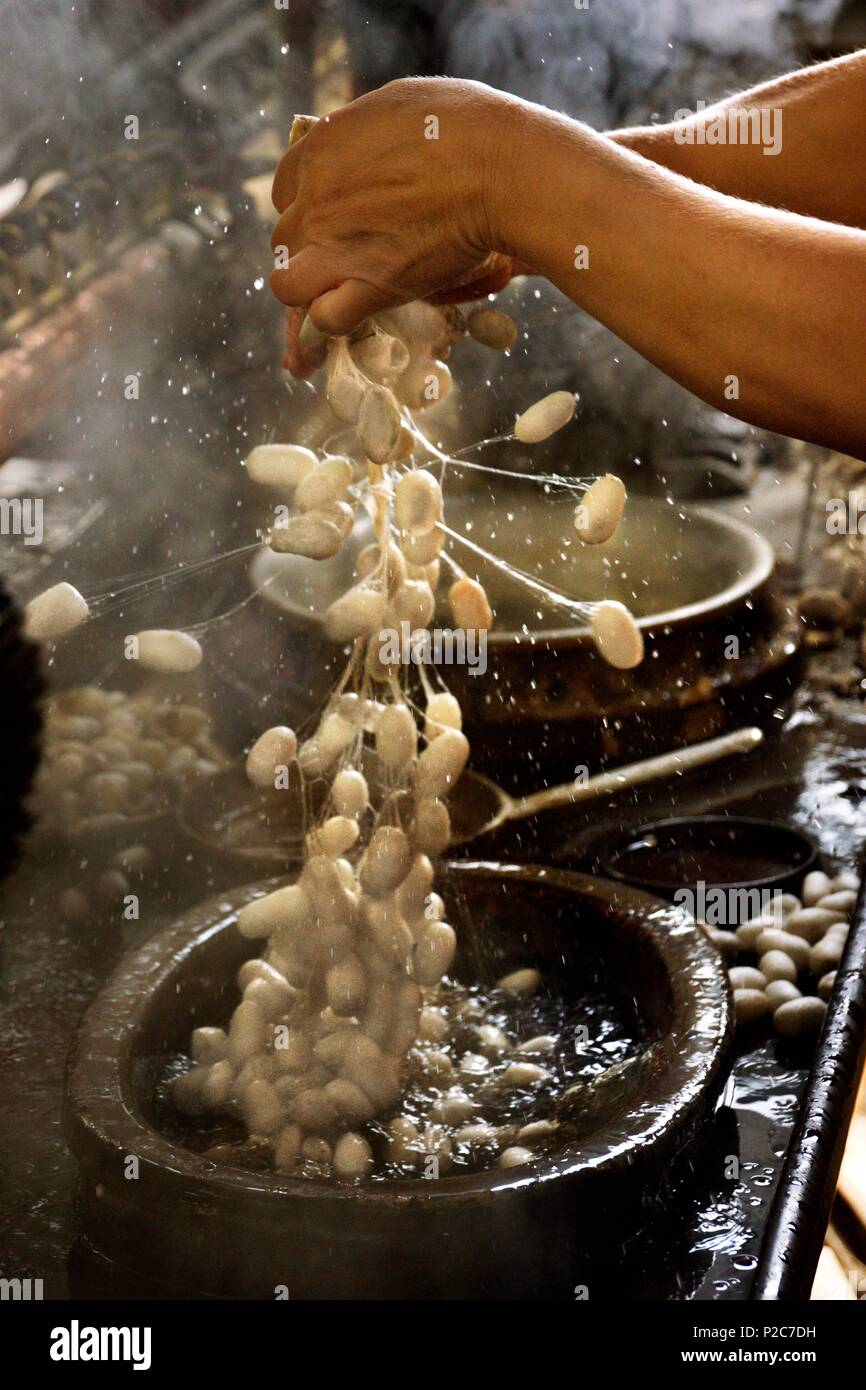 Azerbaijan, Sheki (Shaki), Silk Factory where Cocoons of silk thread