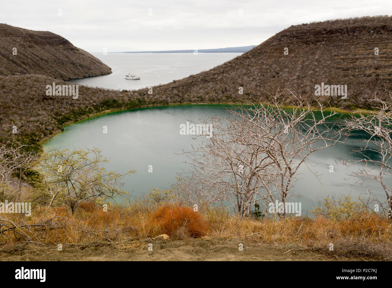 Darwin lake galápagos hi-res stock photography and images - Alamy
