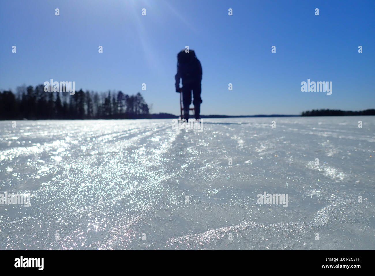 Kicksled: Sport utility vechicle for nature photographer. Lake Kukkia, Finland. 11.4.2018. Stock Photo