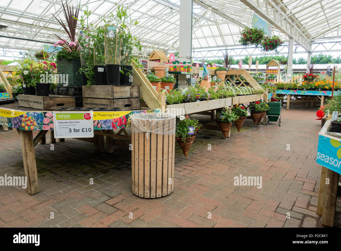 Plants for sale in a UK garden centre, Dorset, England Stock Photo Alamy