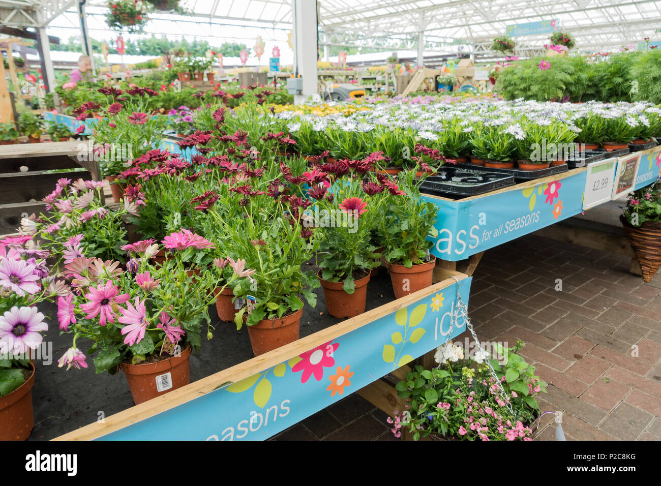 Gardening centres hires stock photography and images Alamy