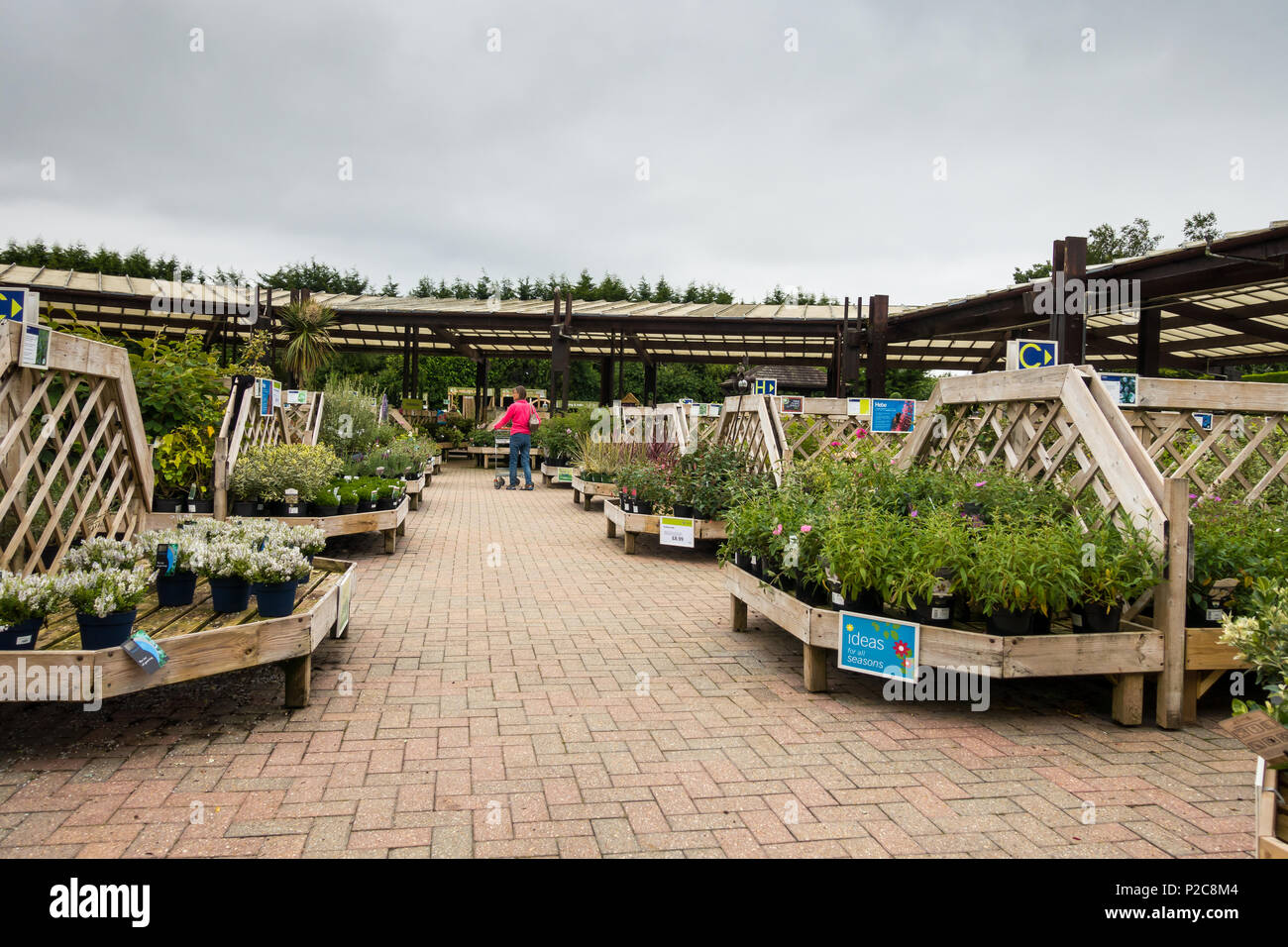 A woman shopping for plants in a UK garden centre, Dorset, United