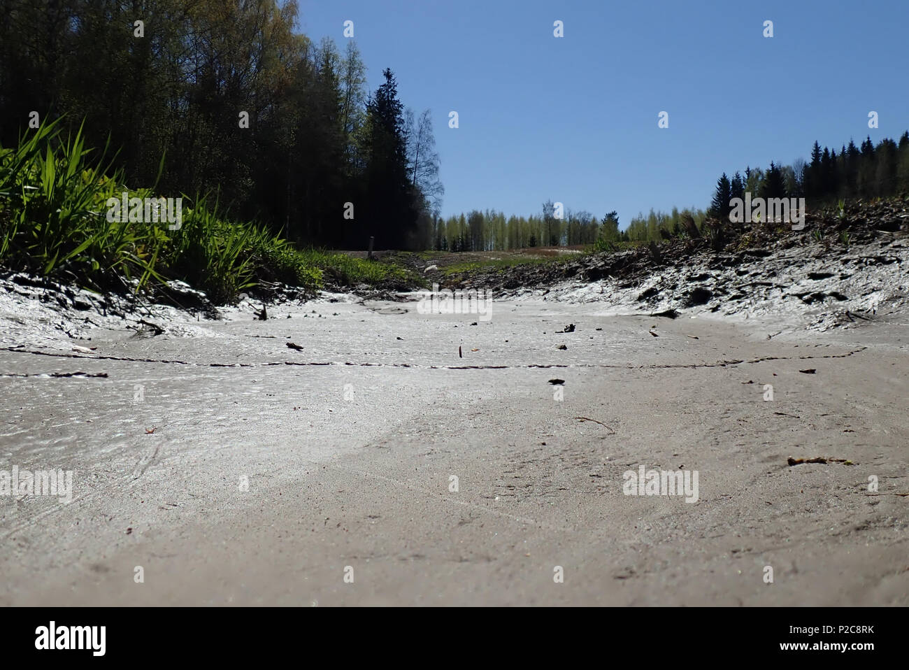 I really love that wet muddy surface shining in the sunlight. Hausjärvi, Finland.  10.5.2018 Stock Photo
