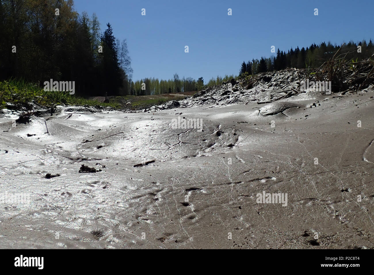 I really love that wet muddy surface shining in the sunlight. Hausjärvi, Finland. 10.5.2018 Stock Photo