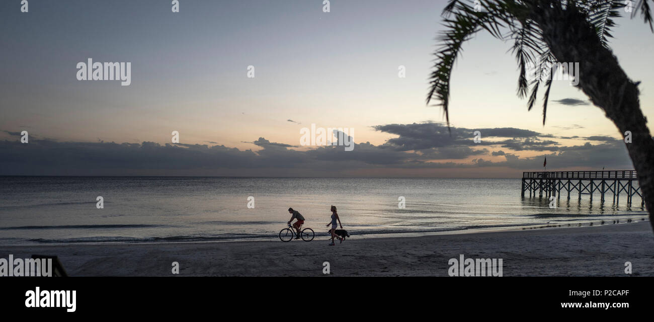 Redington Beach. Florida, USA, Beach Walker and Cyclist Walking the Dog on the Beach, Beach. Saturday  01/10/2016, © Peter SPURRIER Stock Photo