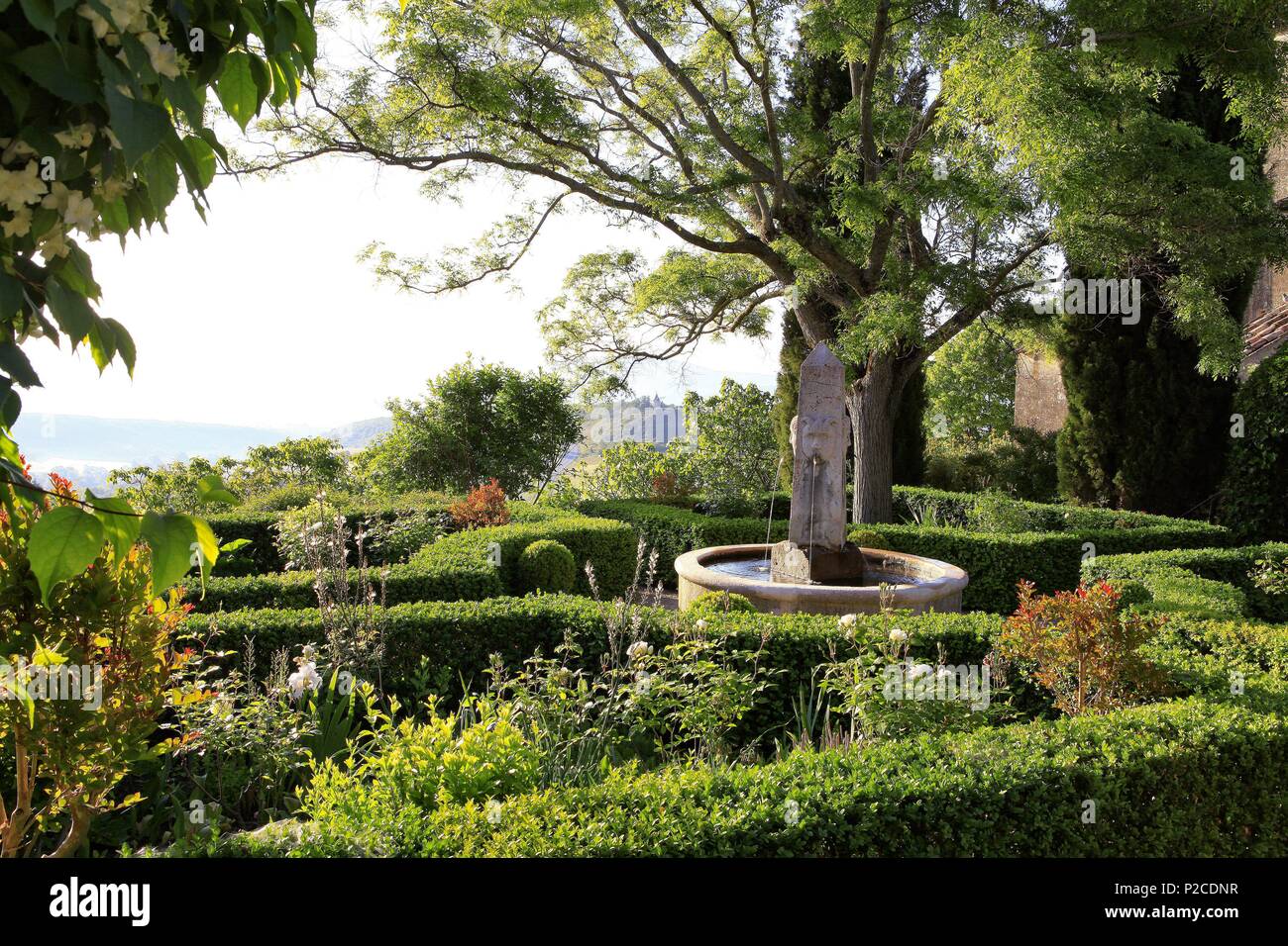 France, Alpes de Haute Provence, Saint Michel of the Observatory, Garden of the Prioress of Saint Michel, closed garden leaning against the church: a boxwood parterre around an obelisk fountain under a sophora japonica Stock Photo