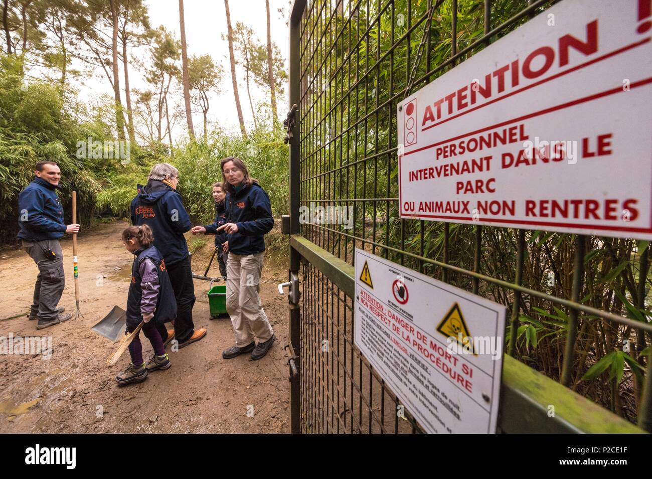 Zoo keeper cleaning hi-res stock photography and images - Alamy