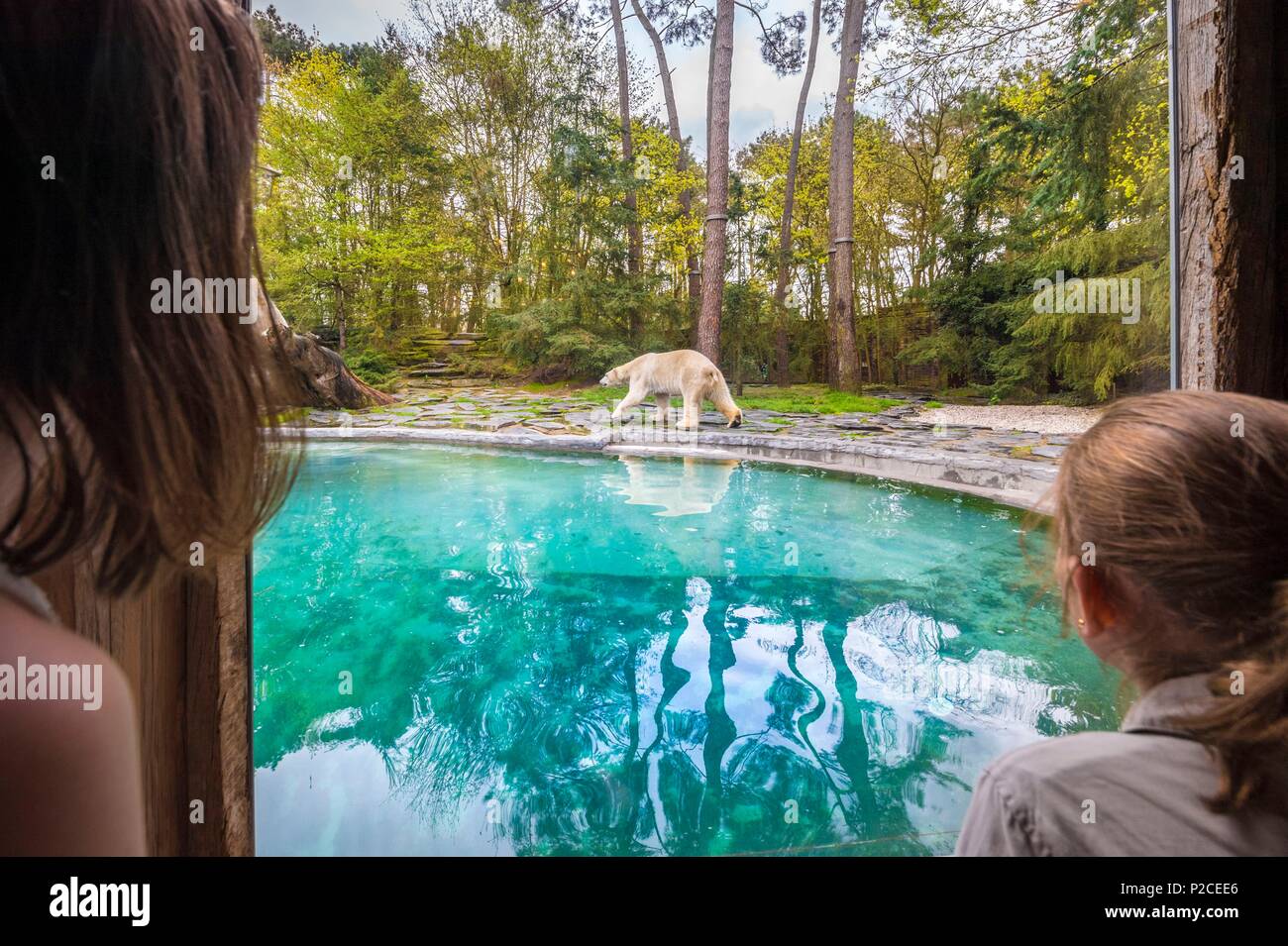 France, Sarthe, La Fleche, La Fleche Zoo, Unusual family accommodation