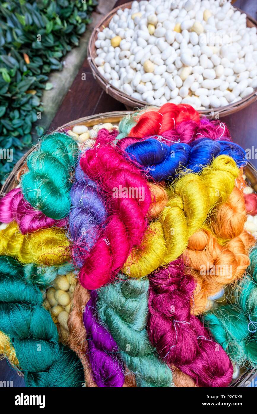 Thailand, Bangkok, Pathum Wan district, Jim Thompson House built in the 1950s by businessman and American adventurer Jim Thompson, who had the ambition to revive the Thai silk industry, is now a museum, cocoons and skeins of silk Stock Photo