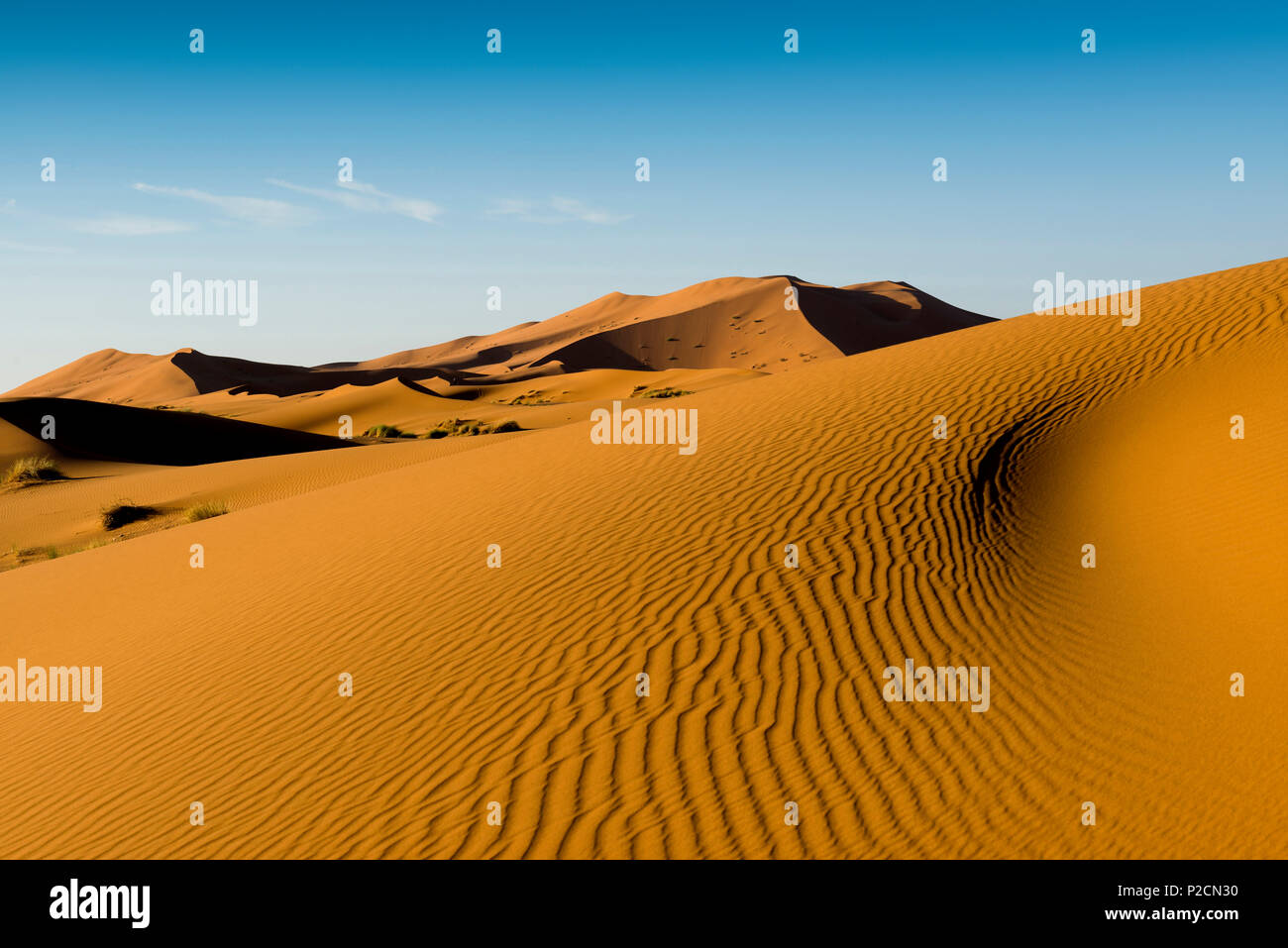 sand dunes, Erg Chebbi, Sahara Desert, Morocco, Africa Stock Photo