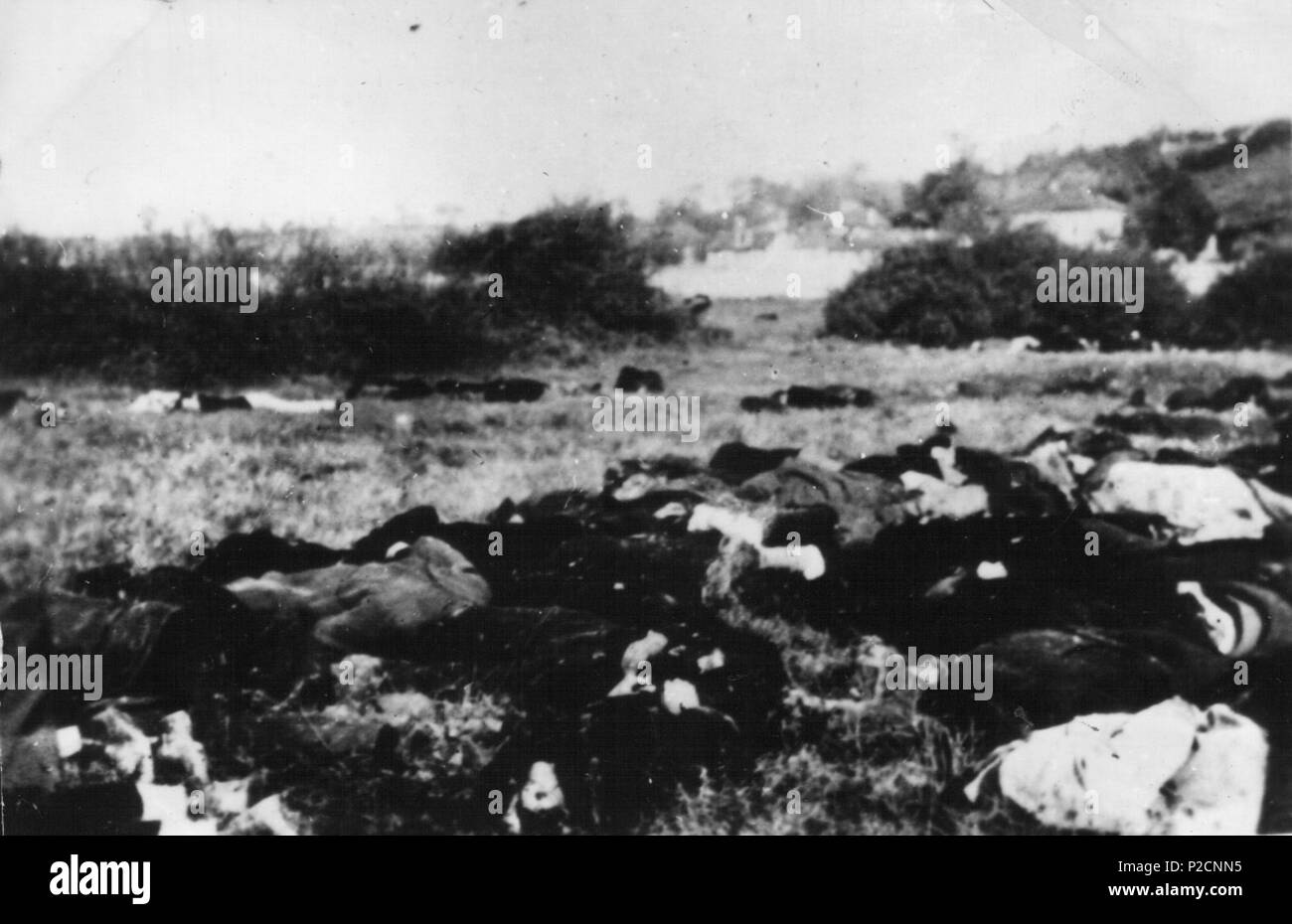 . English: Corpses in Kragujevac 1941 . 1941. Unknown 14 Corpses in Kragujevac 1941 Stock Photo