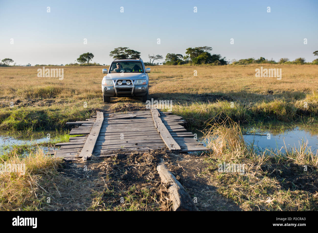 Silver 4x4 off road high clearance vehicle on self drive safari in Kafue National Park, Zambia. Stock Photo