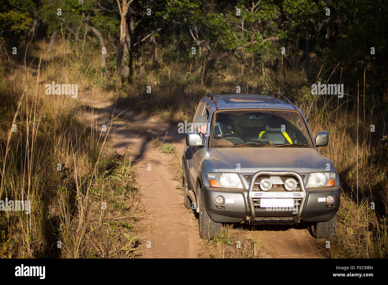 Silver 4x4 off road high clearance vehicle on self drive safari in