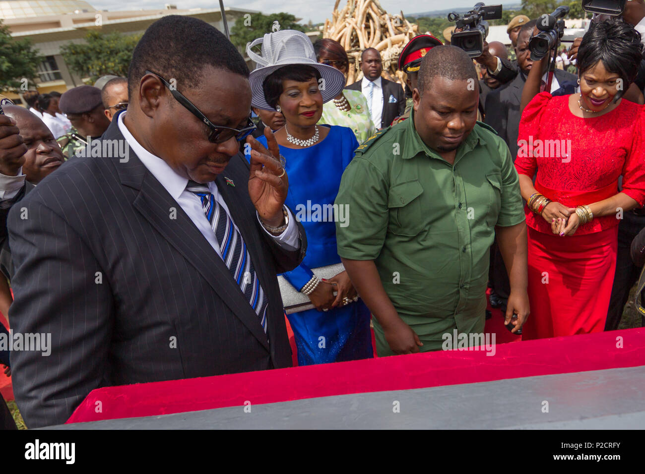 President Peter Mutharika oversees Ivory burning ceremony scheduled at Lilongwe's Parliament grounds in Malawi at which no ivory was burned. Stock Photo