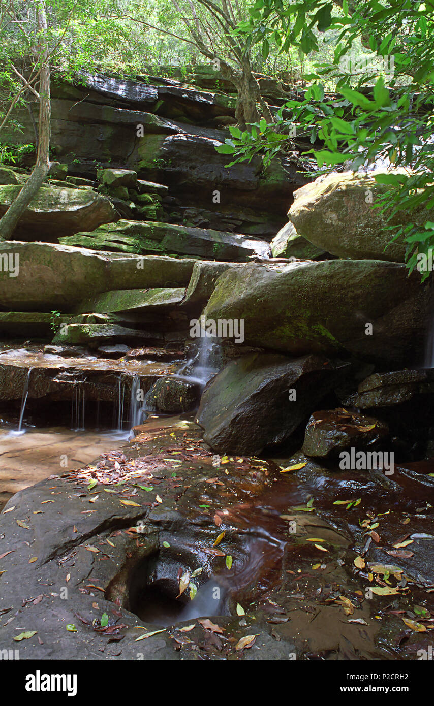 Waterfall on Hominy Creek in the secluded Popran National Park, Central