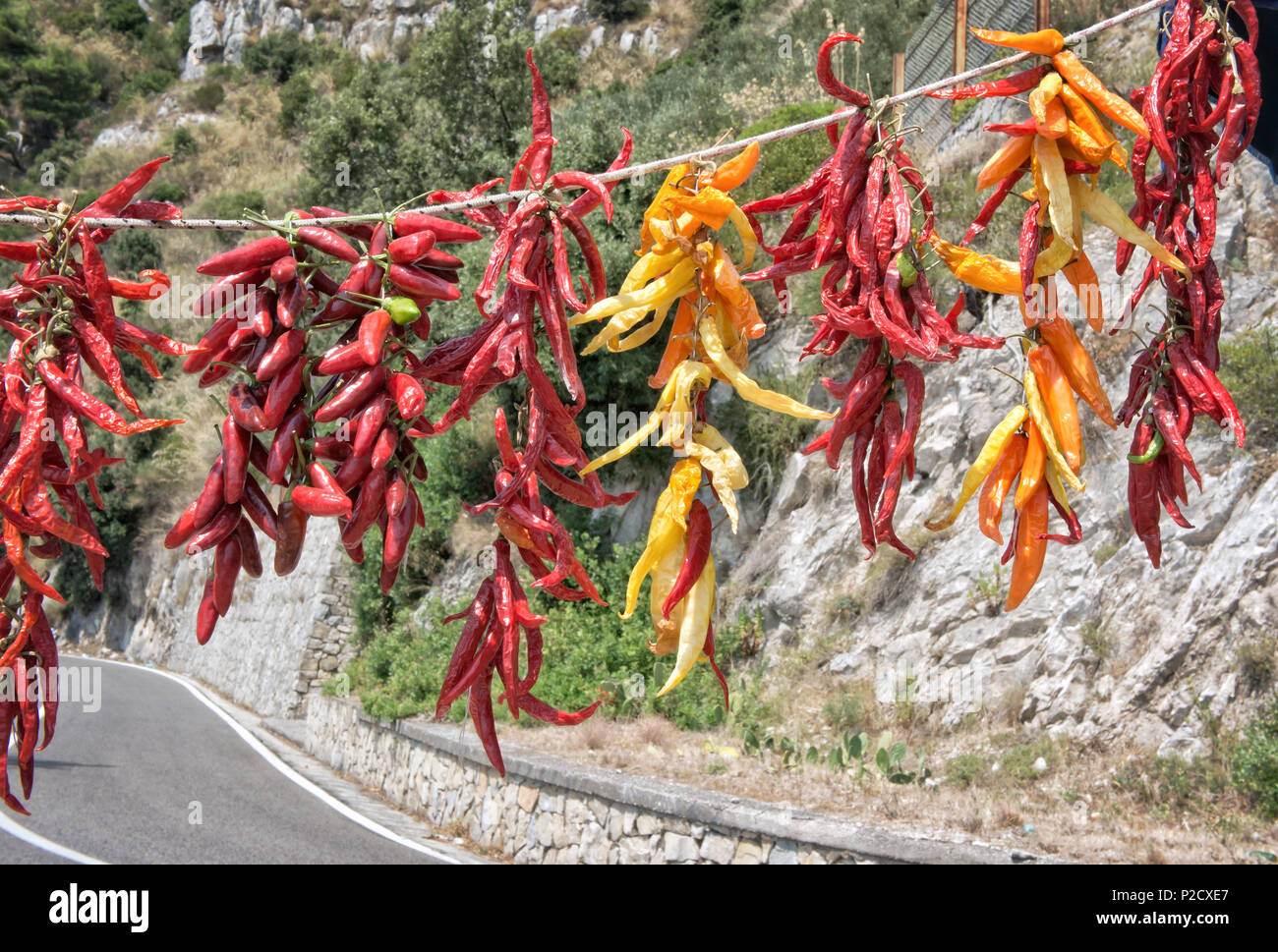 Row of red chilli peppers hanging on a stall Stock Photo - Alamy