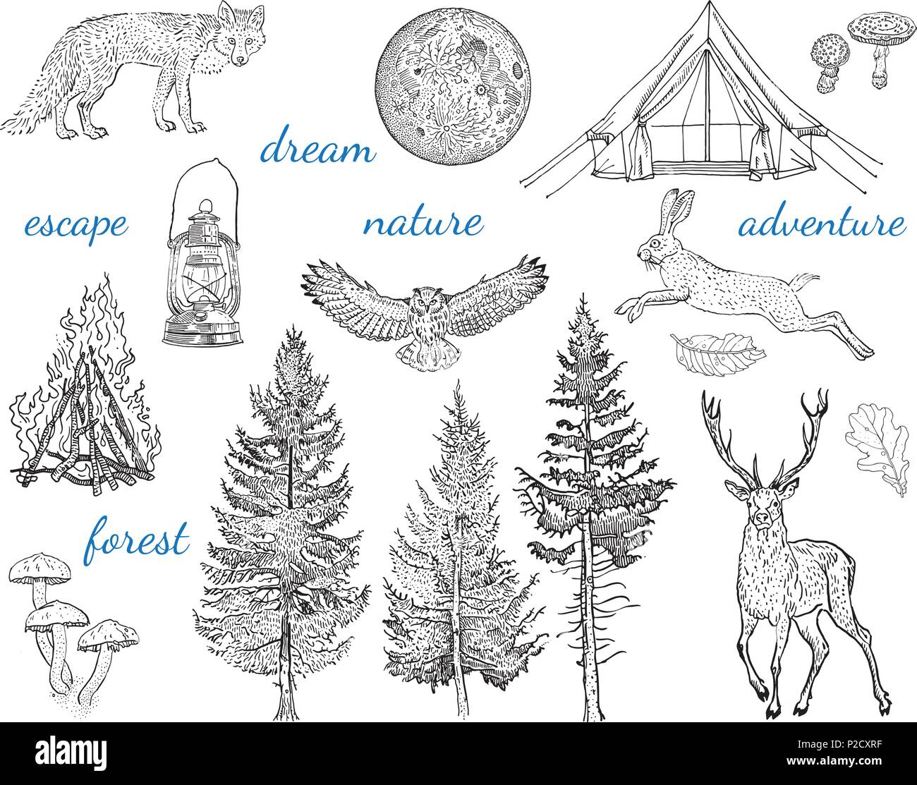 Forest adventure collection: tent, bonfire, camping lamp, moon, fir tree, mushroom, fox, hare, deer. Stock Vector