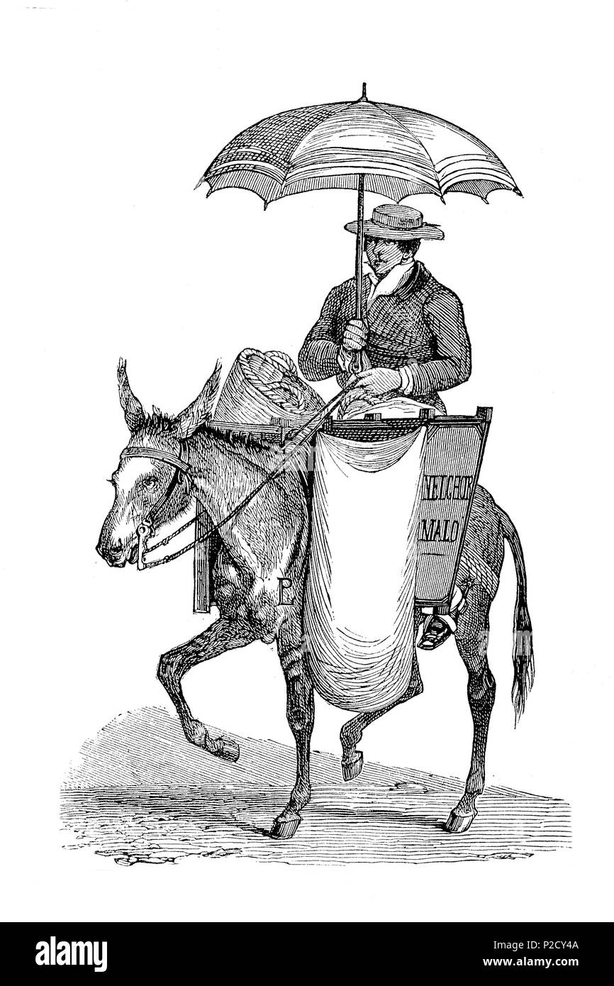 types and costumes in Lima Peru, a baker on horse selling products, digital improved reproduction from an original print from the 19th century, 1881 Stock Photo