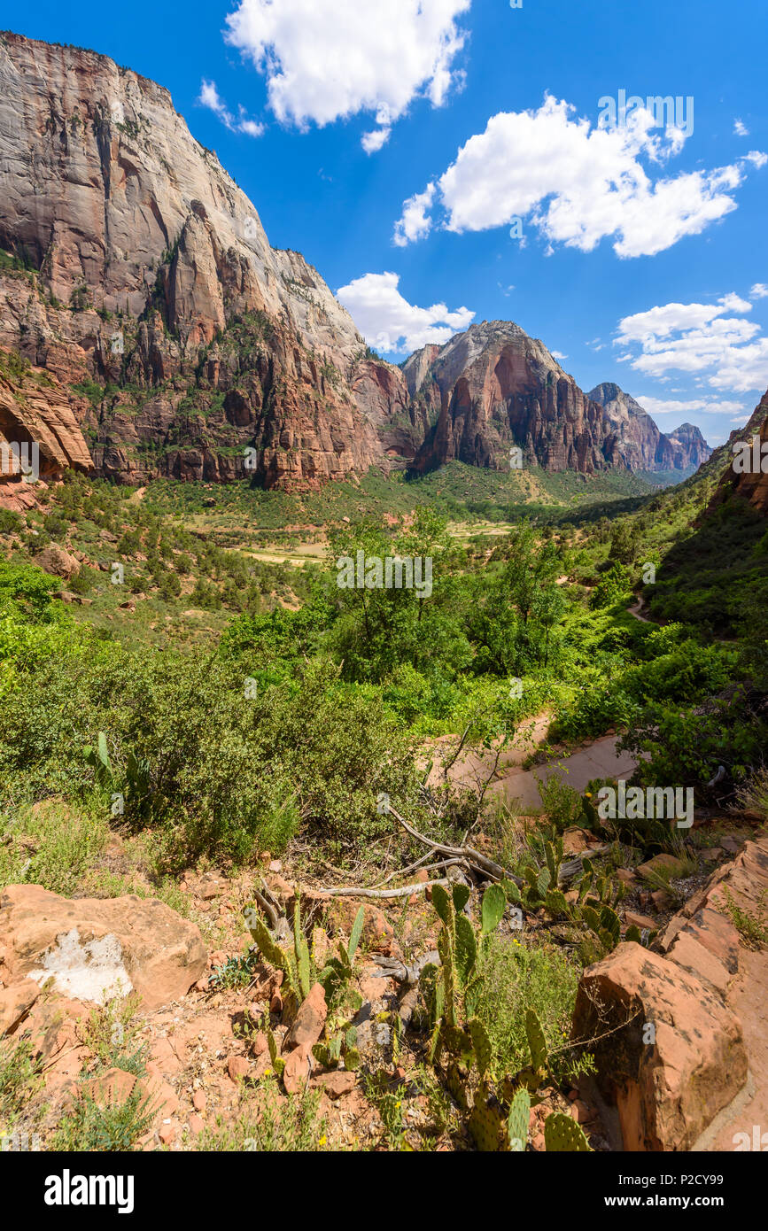 Hiking in the Canyon of the Zion National Park - Travel destination for Outdoor in Utah, USA Stock Photo