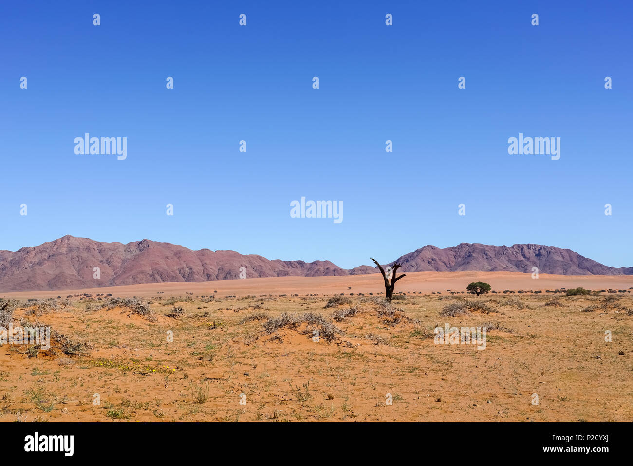 Iron rich red soil hi-res stock photography and images - Alamy