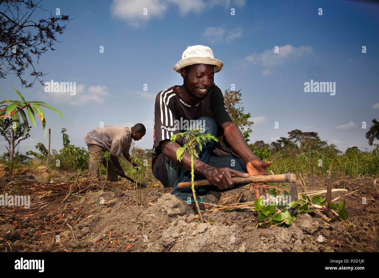 . English: Farmers on mine free land . 19 November 2015. APOPO 19 Farmers on mine free land Stock Photo