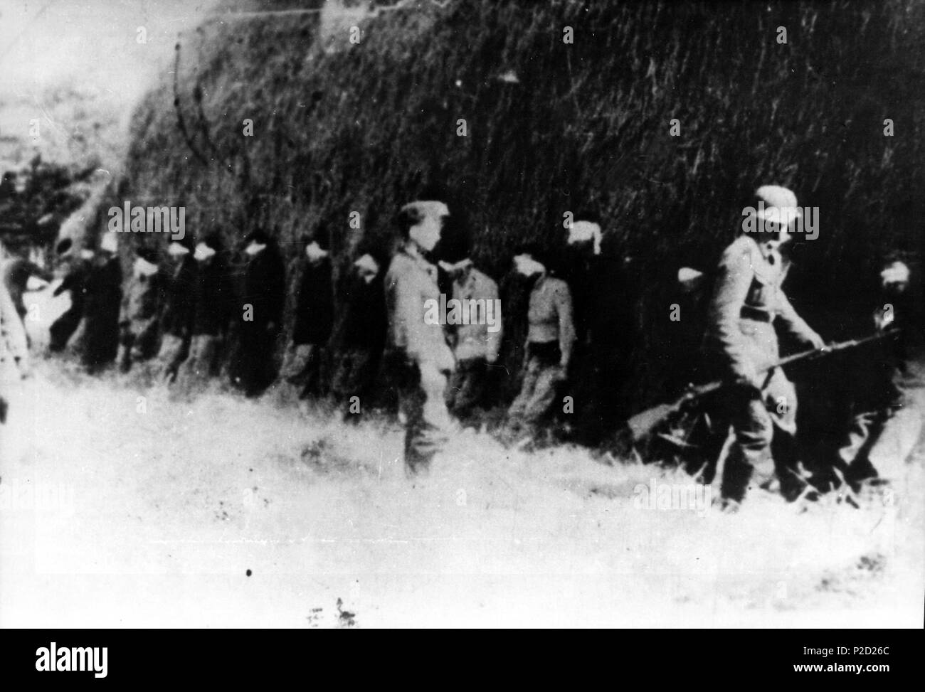 . English: Sixteen blindfolded partisan youth await execution by German ...