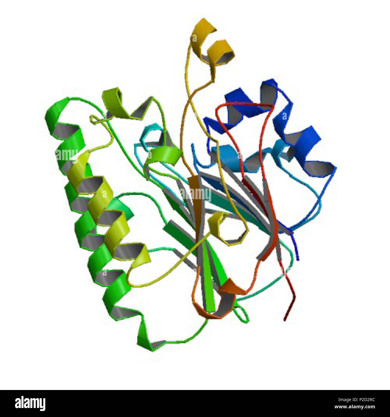 English: Chrystal structure of the Crc binding protein in P.aeruginosa .  2013. Zhang H et al 2 4f1r pdb structure Stock Photo - Alamy