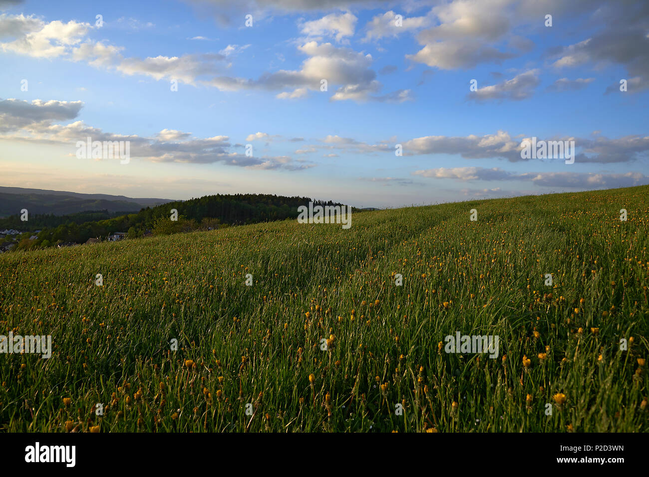 Low Angle Shot Of Tire Tracks In A Field On A Hill In A Green