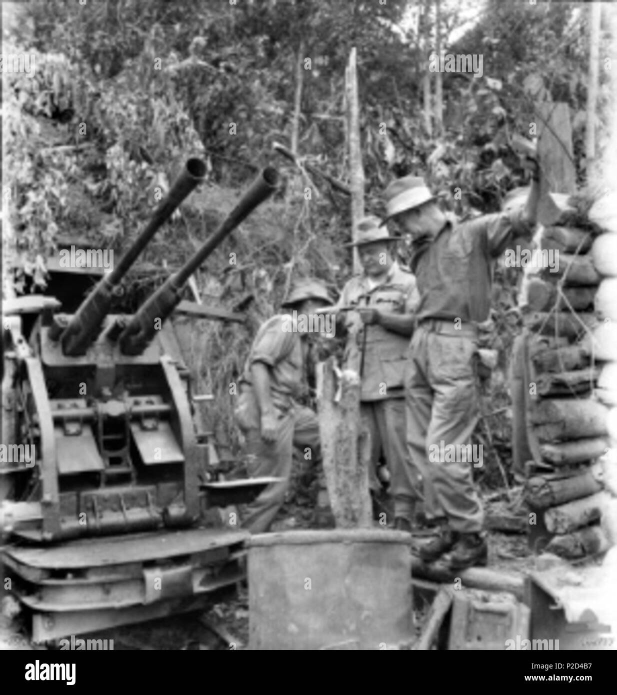 . General Thomas Blamey , Commander-In-Chief, Allied Land Forces, South West PacificC area, and Brigadier David Whitehead, commander 26 Infantry Brigade, inspect a captured Japanese 25mm gun mounted on rails at Essex Ridge, Tarakan Island, Netherlands East Indies. Captain G.B. Travis, Officer Commanding D Company, 2/24 Infantry Battalion, is in the background. 8 May 1945. Not recorded 7 Blamey Whitehead Tarakan (089777) Stock Photo