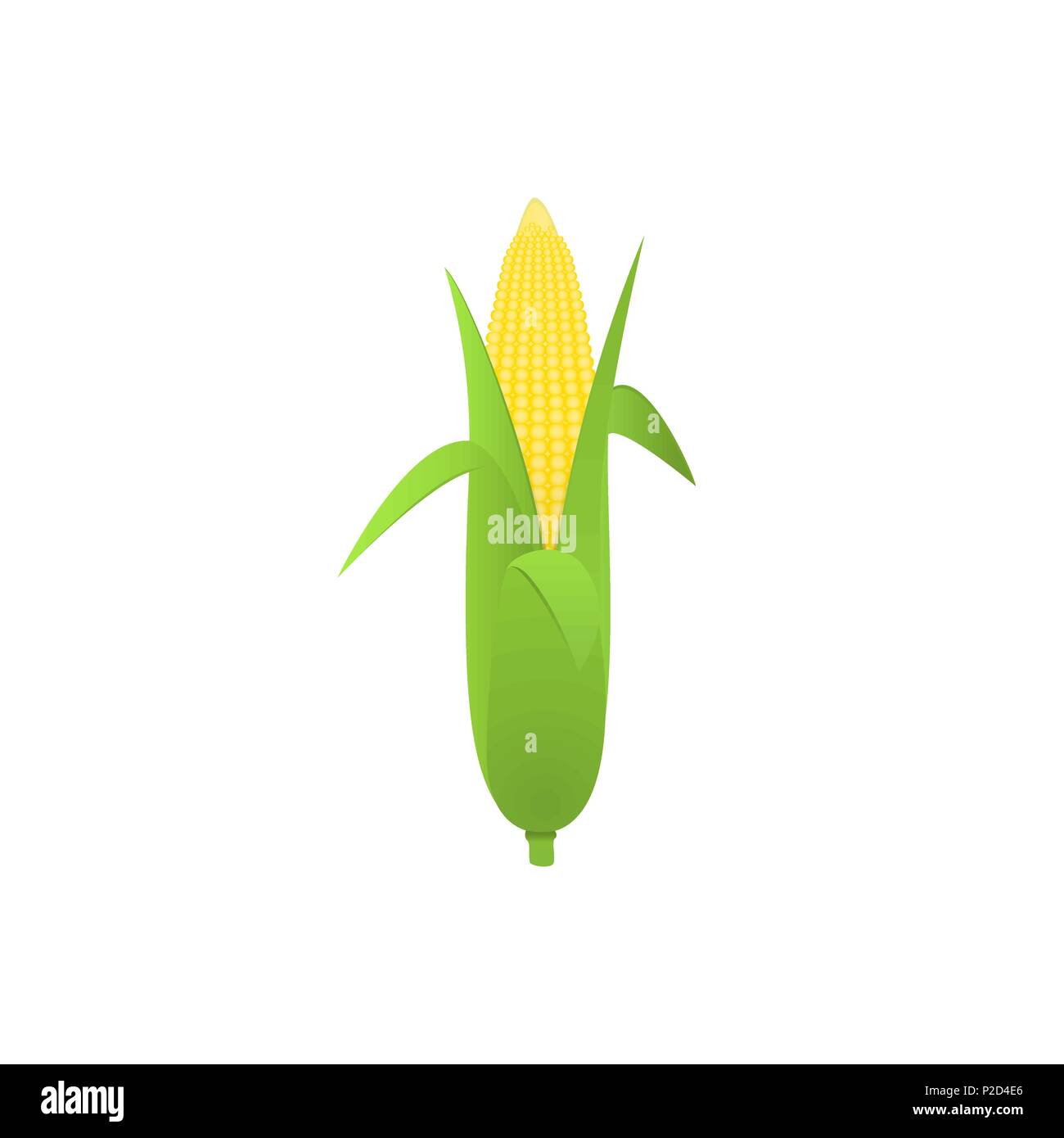 corn on the cob Stock Vector Image & Art - Alamy