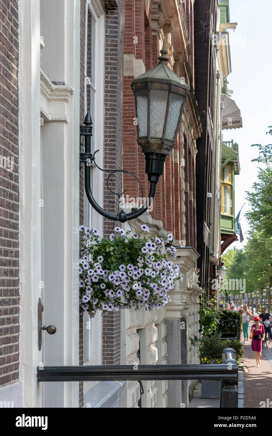 Pansies in flower pot hanging from lantern on canal house on Herengracht, Amsterdam Stock Photo