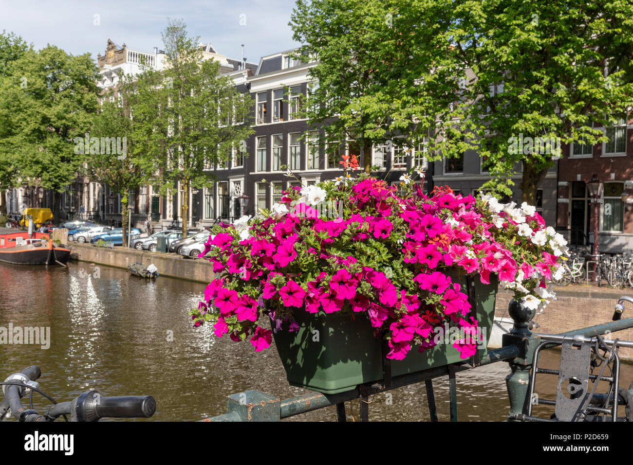 Flower box on Herenstraat bridge over Keizersgracht Stock Photo