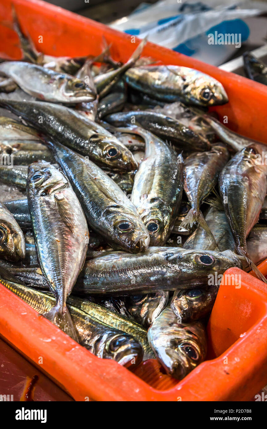 Algarve fish market hires stock photography and images Alamy