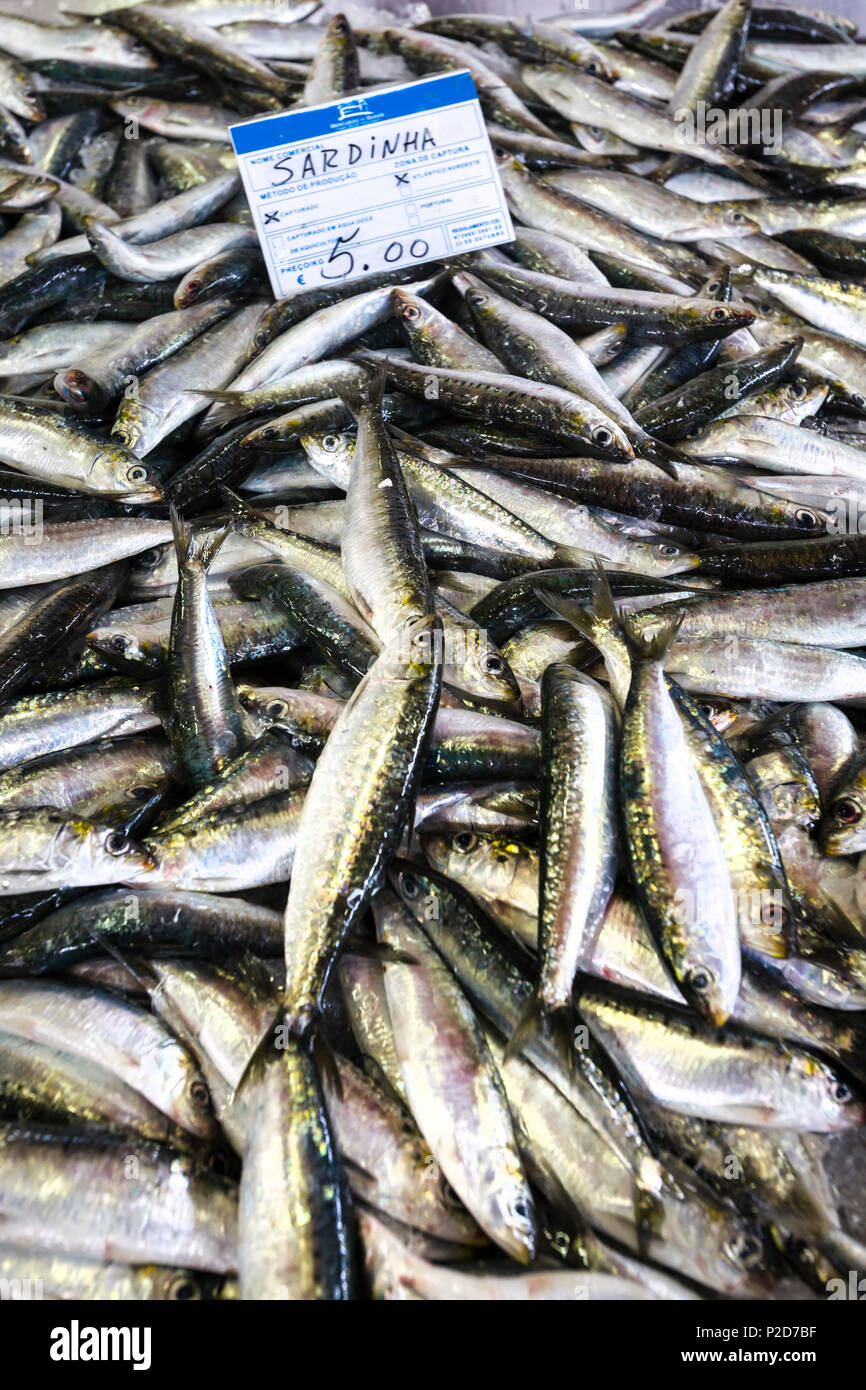 Sardines on fish market, Algarve, Portugal Stock Photo