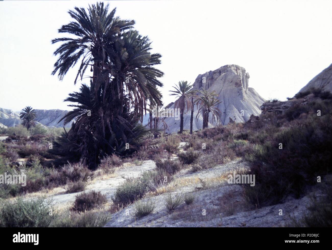 Desierto de Tabernas (Almería) en donde se encuentran los decorados para las películas western. Stock Photo