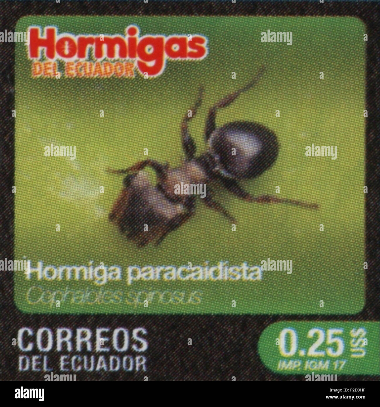 . Ecuador Ants II - Cephalotes spinosus . 31 March 2017. Post of Ecuador 12 Cephalotes spinosus 2017 stamp of Ecuador Stock Photo
