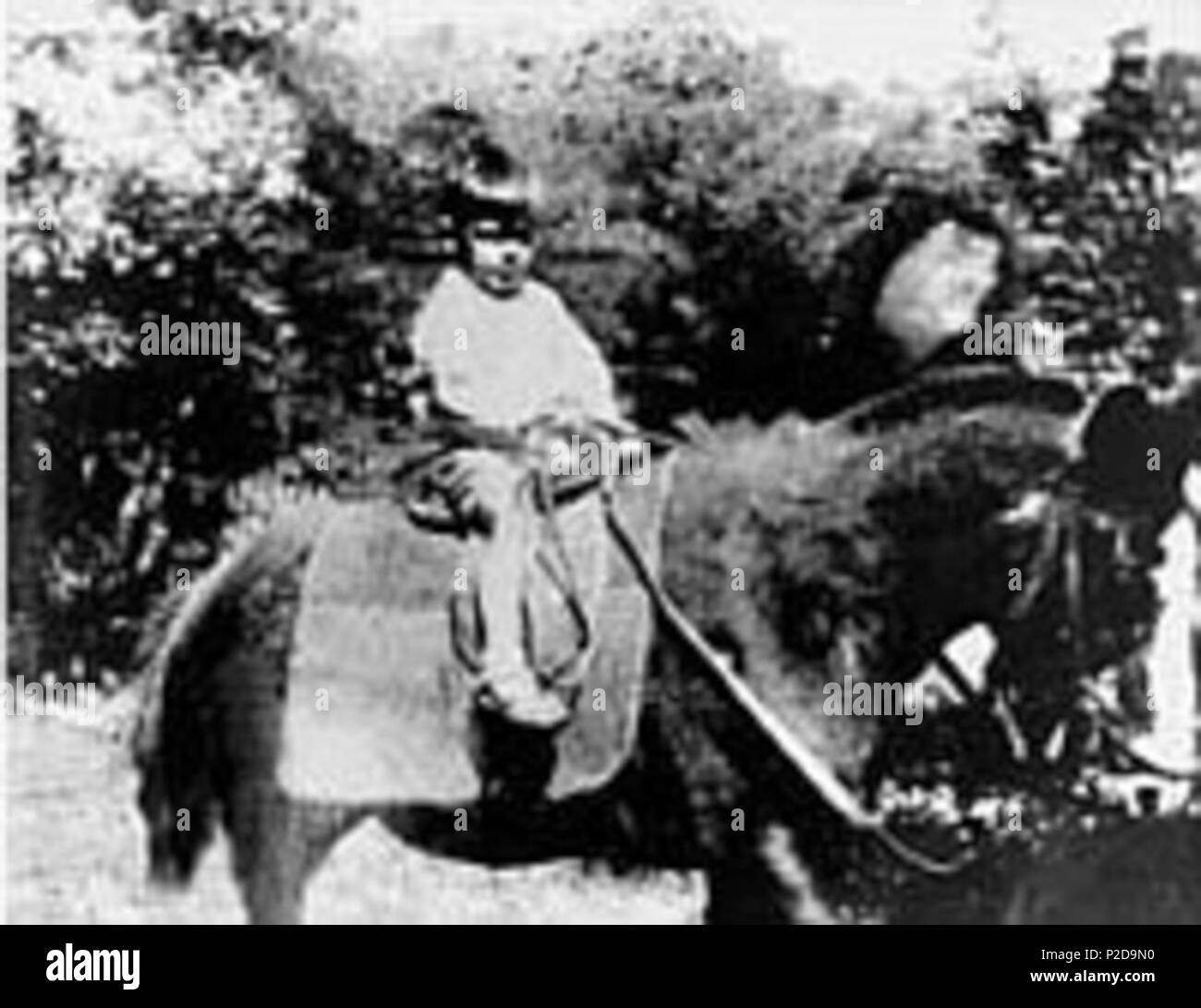 English: This is a photo of Ernesto Che Guevara at three years old riding a  burro. It was taken in Argentina in 1932 by his father, Ernesto Guevara  Lynch. English translation
