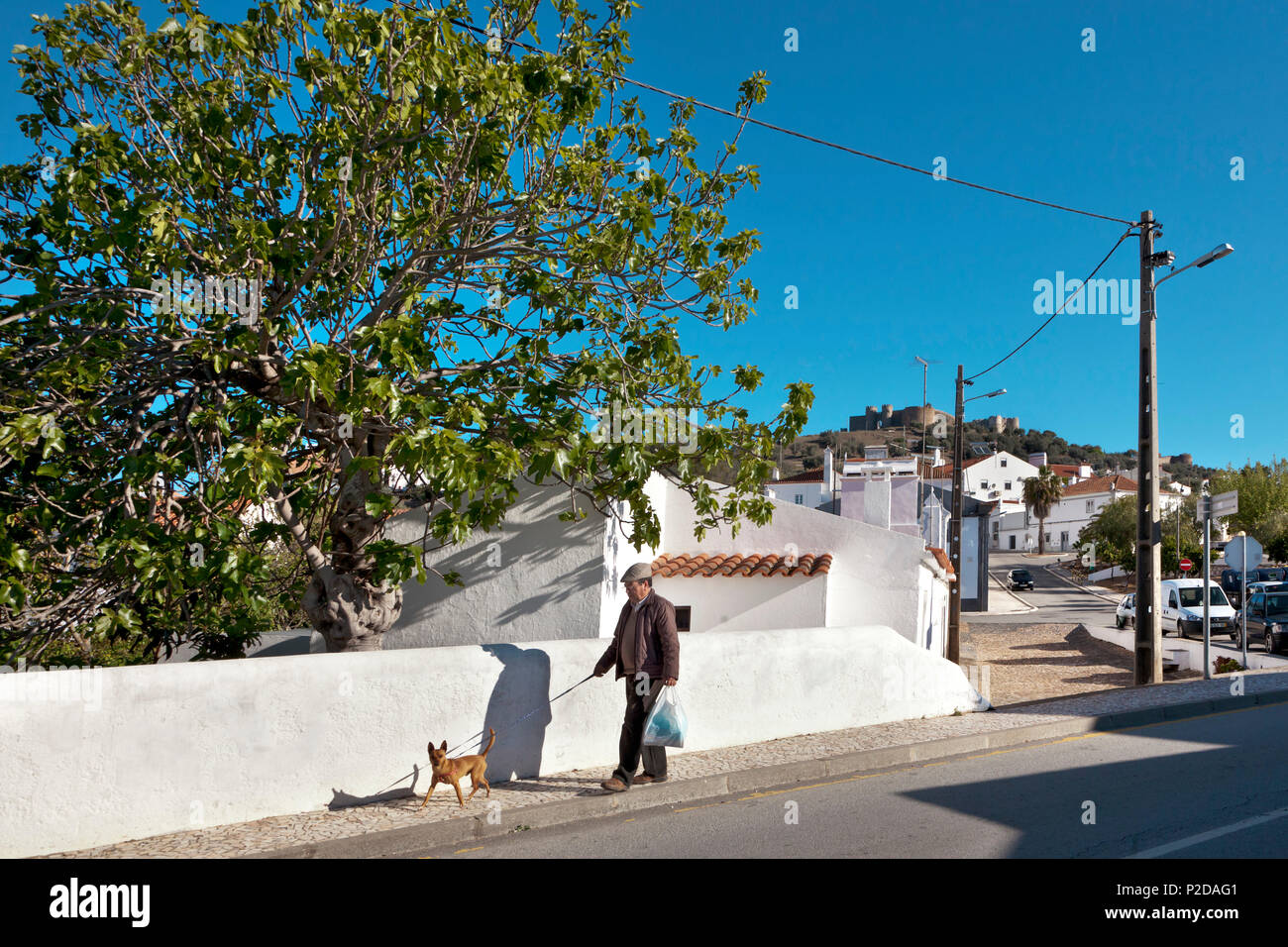 Man walking his dog near the castle, Evoramonte, Alentejo, Portugal Stock Photo
