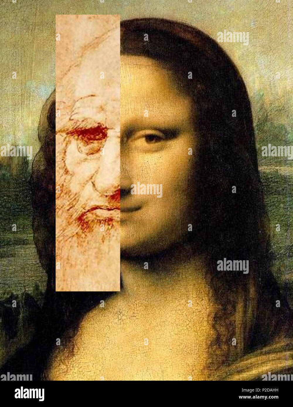 Comparison of Leonardo da Vinci's assumed self-portrait and his Mona Lisa,  based on image manipulation techniques similar to those used by Dr. Lillian  F. Schwartz of Bell Labs for her speculative